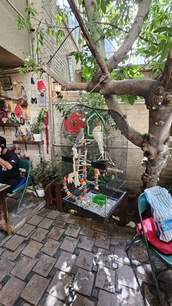  کافه اکنون
