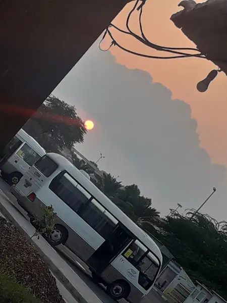  کافه شب های بندر