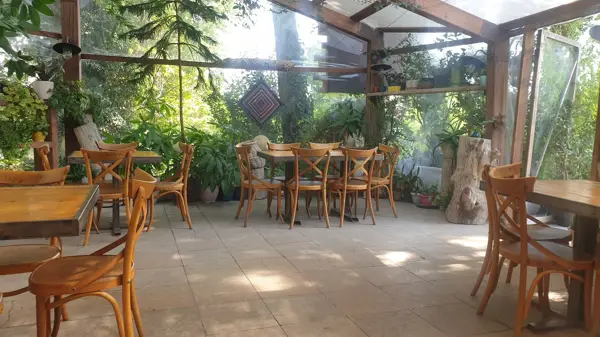 کافه بید مجنون