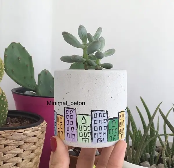  Cafe cactus