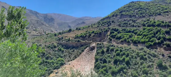  دوغ و آش گدوک