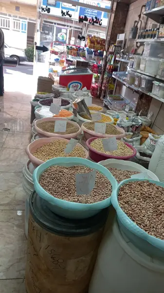  کافه بلوط