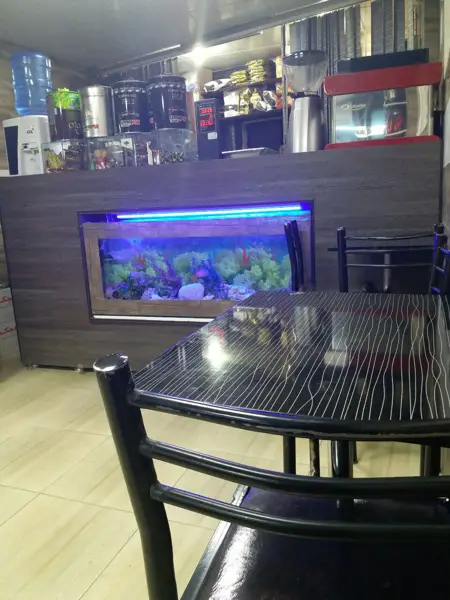  کافی شاپ داغ و یخ