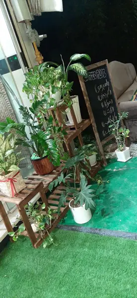  کافی پلاس