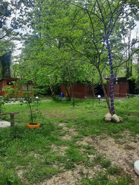  کافه رستوران توریست محمد