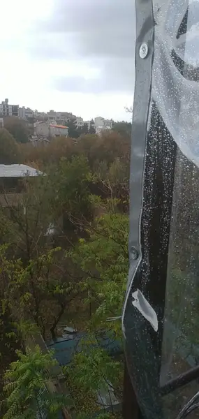  رستوران همیشه سبز