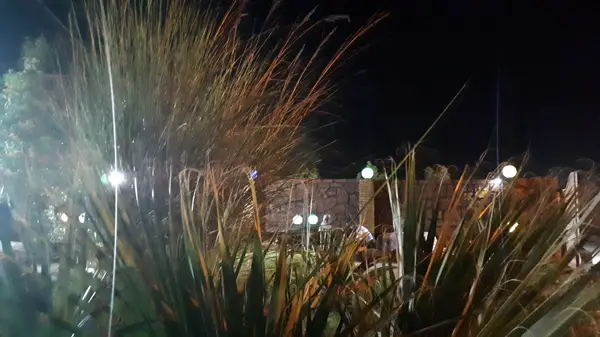  کافه آرامیس