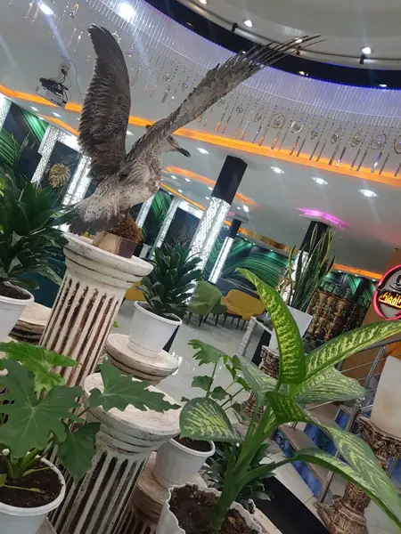 کافه تک