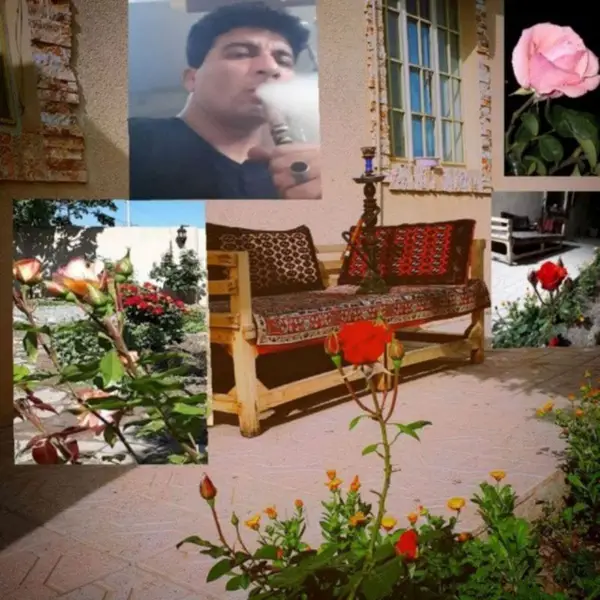  کافه قلیان فریمان