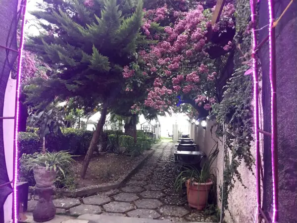  کافه رستوران ساحلی سینا