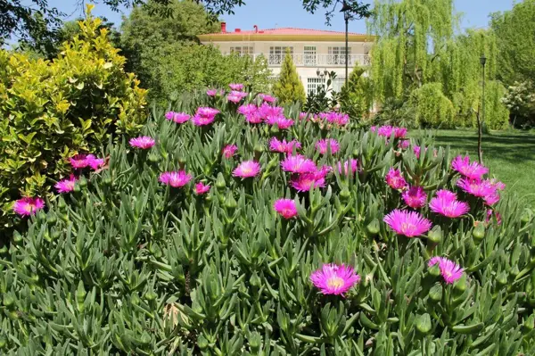 باغ عکاسی نگارستان مهر