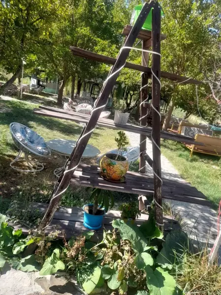  کافه رستوران ملک سلطان