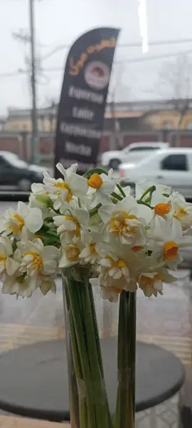  Mocca cafe کـــافـــه مـــــــوکــا قـایمشــهــــر