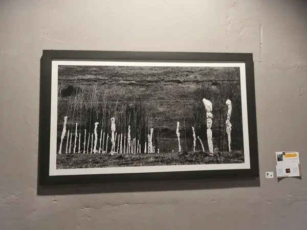 کافه