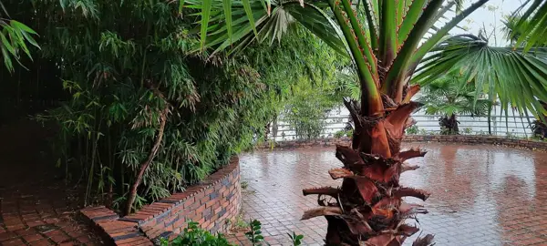  Garden Cafe - Setareh Darya Hotel - کافه باغچه هتل ستاره دریا