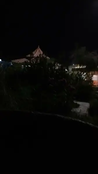  بوستان لادیزشهرستان زاهدان