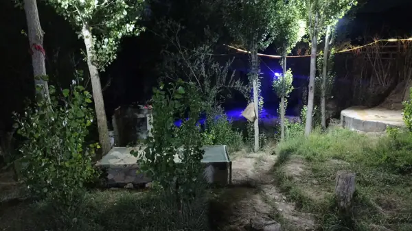  کافه ایل