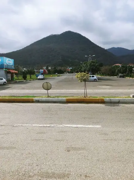  کافه ساعت ۲۵
