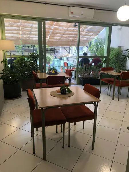 کاژه سنایی