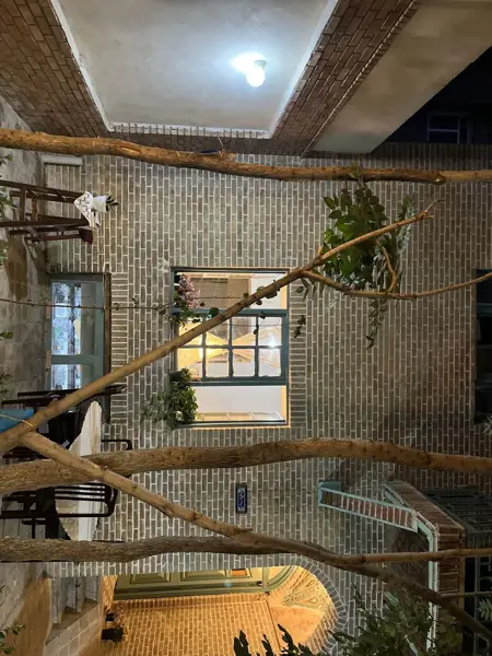  Ruzana home (cafe & art school)