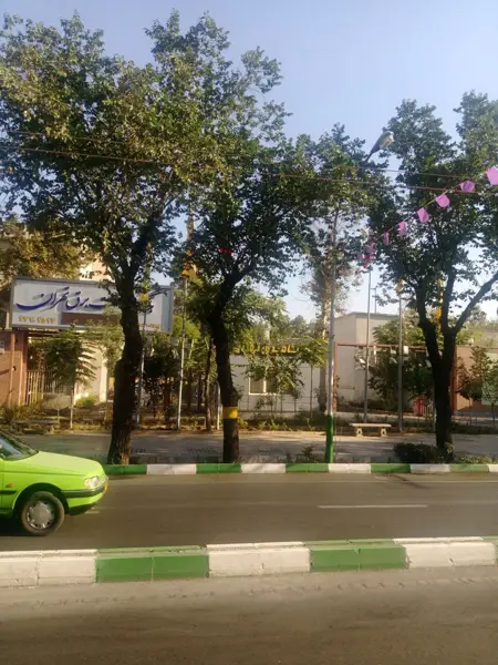 Saba Cafe & Restaurant