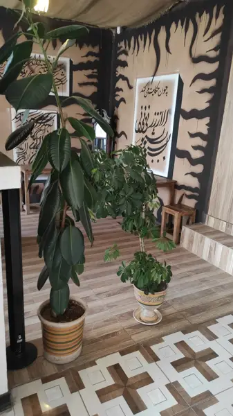  کافه سنتوری