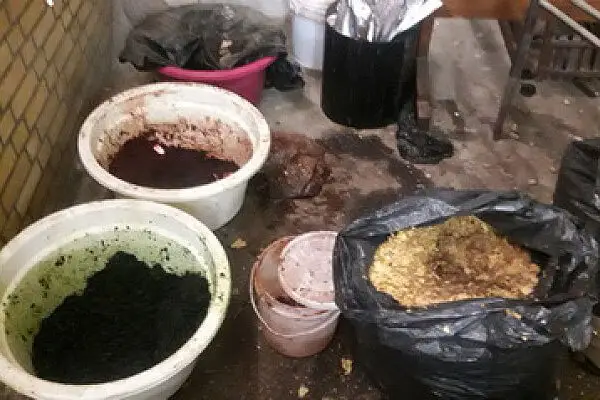  کافه شاهو