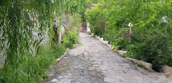  کافه واستراحتگاه پردیس