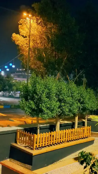  کافه رستوران کاپتان بلک