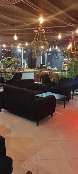 کافه پتوس