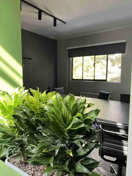 صندلی فول تایم