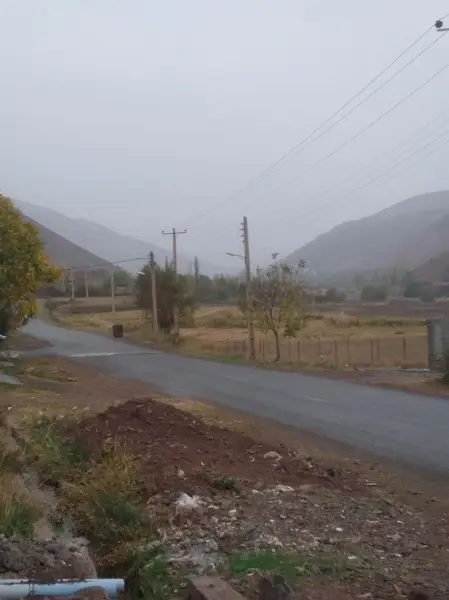  مصطفی