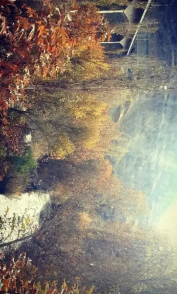  کافه رستوران آوانا