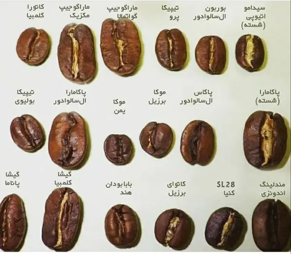  سوپر مارکت دورهمی و قهوه اسپرسو