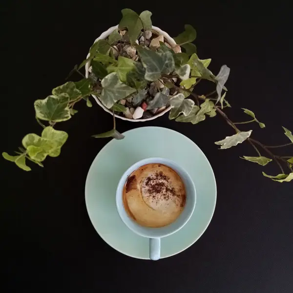  Gray cafe