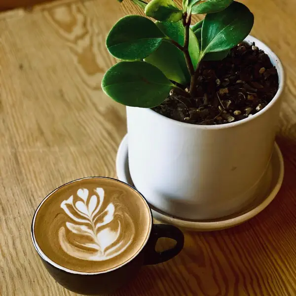 Teereh Cafe