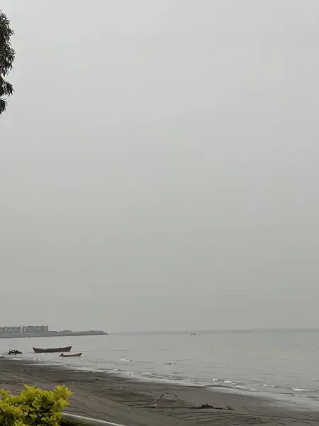  امیر شکلات