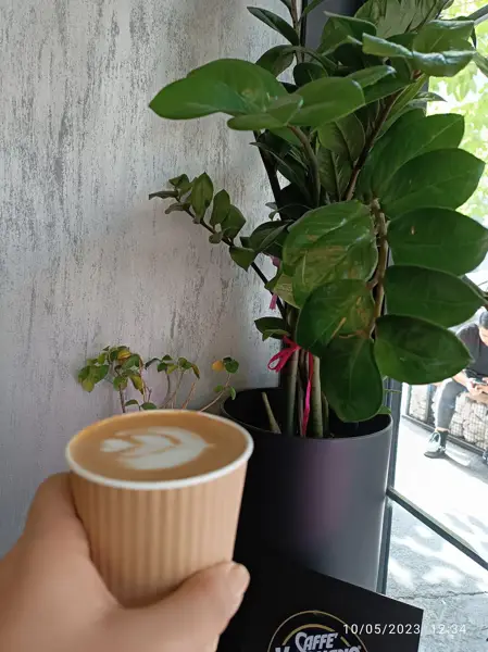  Alen cafe