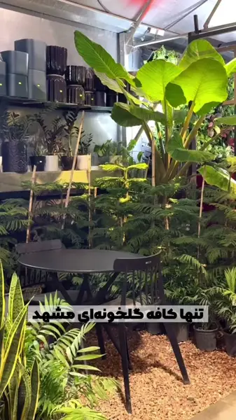  کافه گلخانه وستا