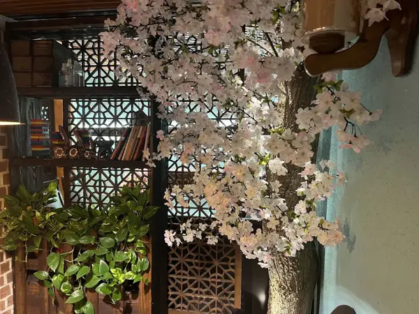  کافه جنگا