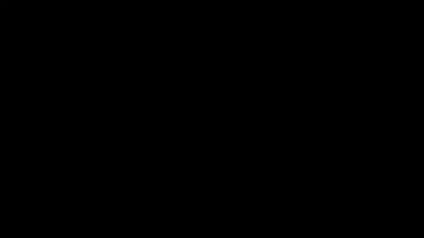  مجموعه کافه کاکتوس