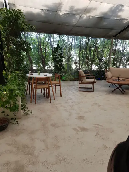 کافه پنگوئن
