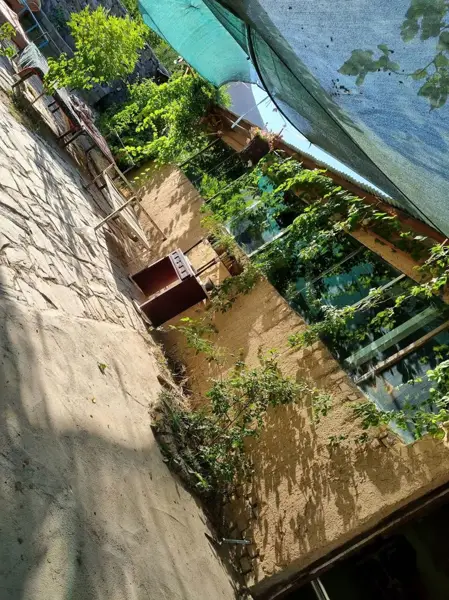 کلبه خاله زهرا