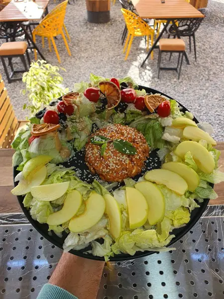  Canopy cafe