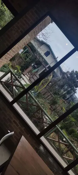  کافه سلده