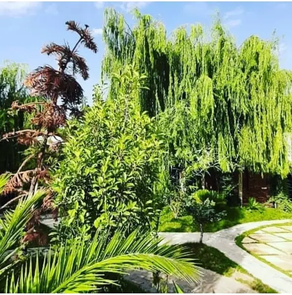  باغ عمارت عکاسی لوچیا