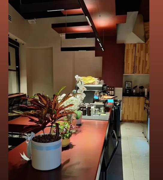 بار و گوشه گیاهان اینوئیت