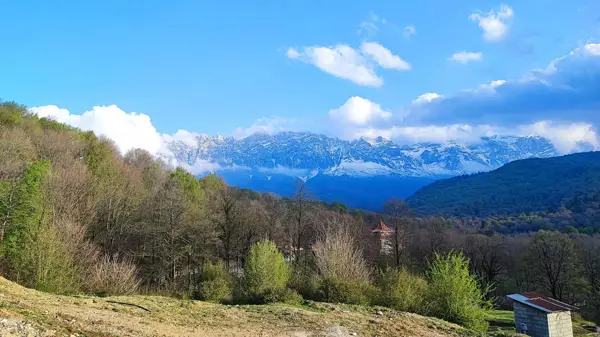  رستوران چشمه