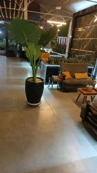 کافه گلخونه شمشیری
