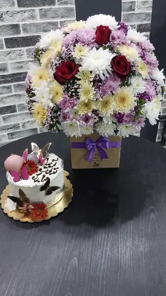  کافه آیما